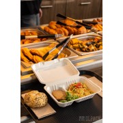 kompostowalne i biodegradowalne pojemniki