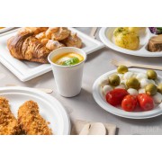 tacki  talerze jednorazowe biodegradowalne na grill