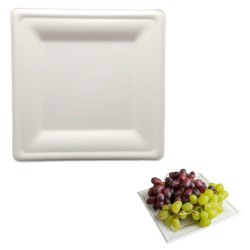 talerz kwadratowy 20x20 cm jednorazowy