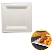 talerz z trzciny cukrowej jednorazowy  kwadrat 26 cm