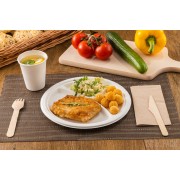 trzydzielny talerz ekologiczny