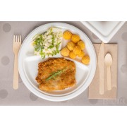 3-dzielny talerz z trzciny cukrowej 230 mm