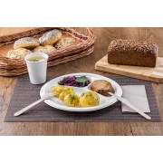 Talerz z trzciny cukrowej obiadowy