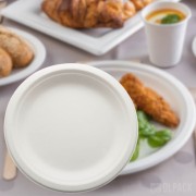 naczynia  z pulpy trzciny cukrowej Olpack