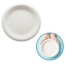 Talerz jednorazowy z trzciny cukrowej