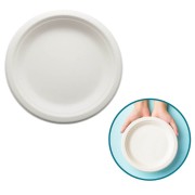 Talerz jednorazowy z trzciny cukrowej