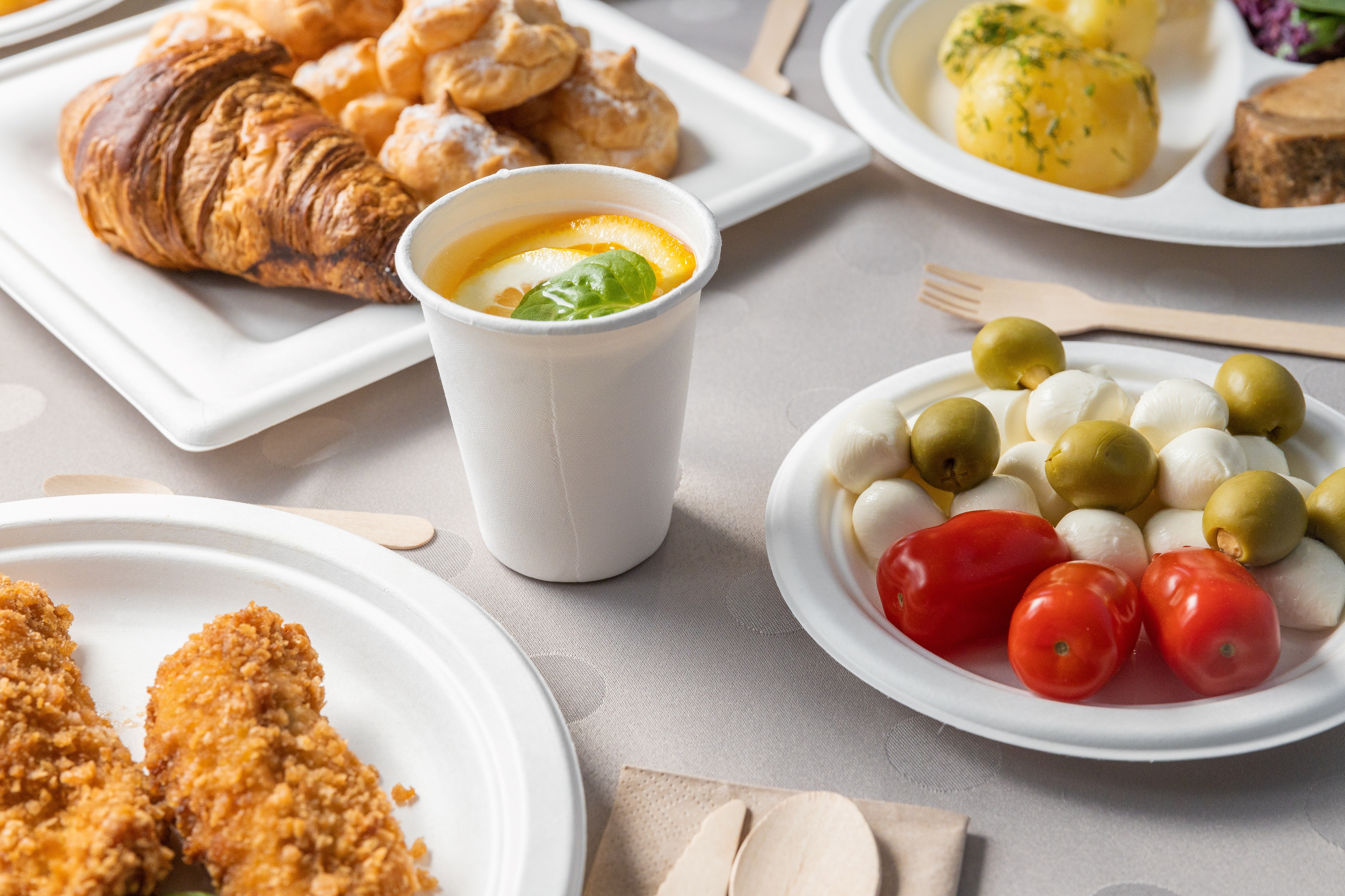 TALERZE Z TRZCINY CUKROWEJ