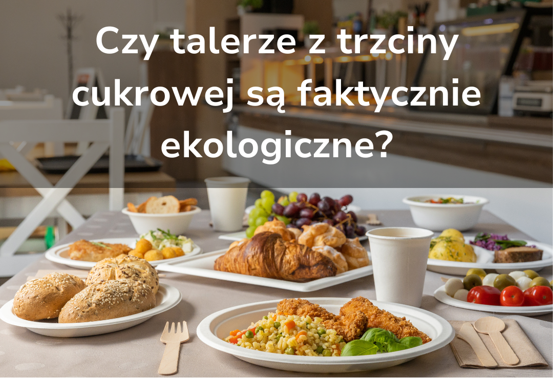 Biodegradowalne naczynia: czy talerze z trzciny cukrowej są naprawdę ekologiczne?